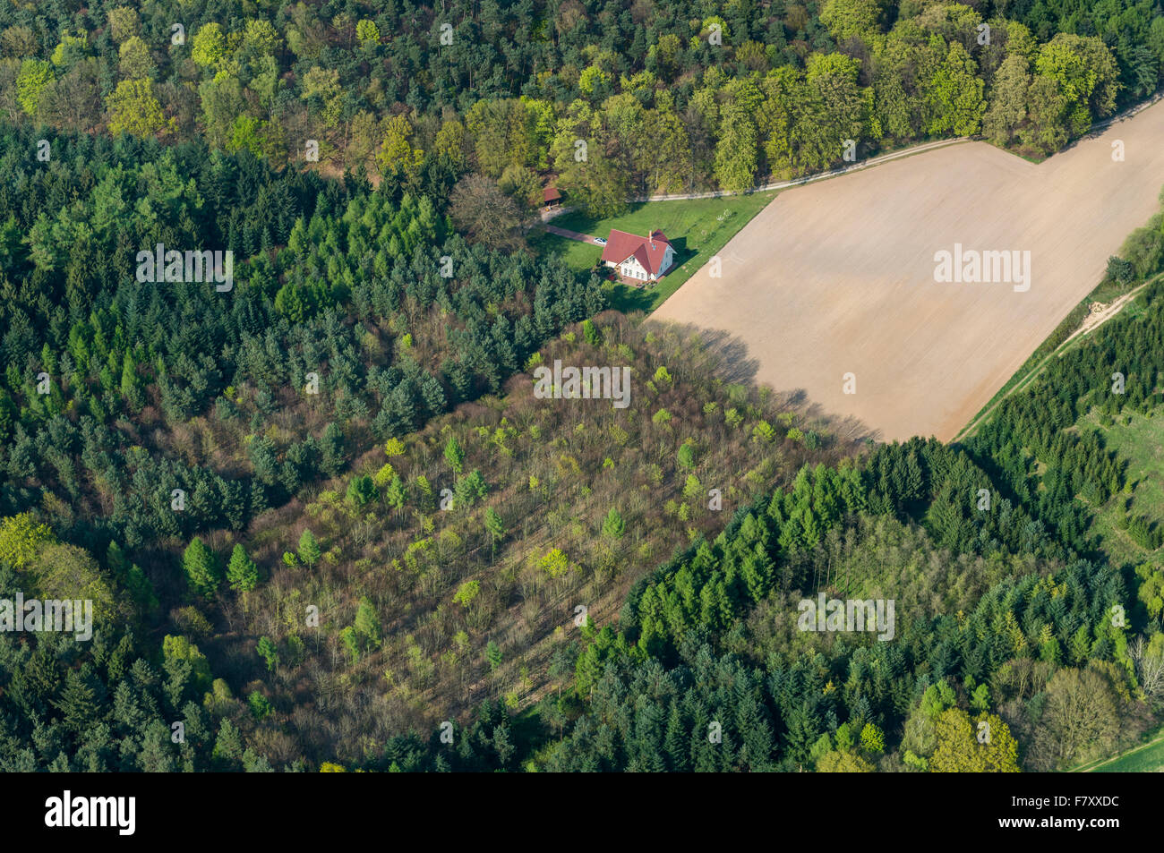 farm near damme (dümmer) from above, vechta district, niedersachsen, germany Stock Photo