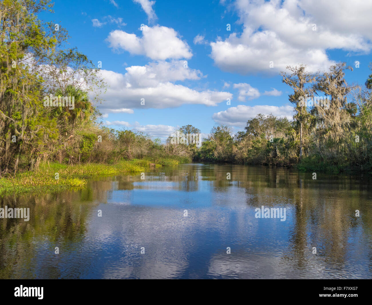 Peace River near Arcadia Florida Stock Photo Alamy