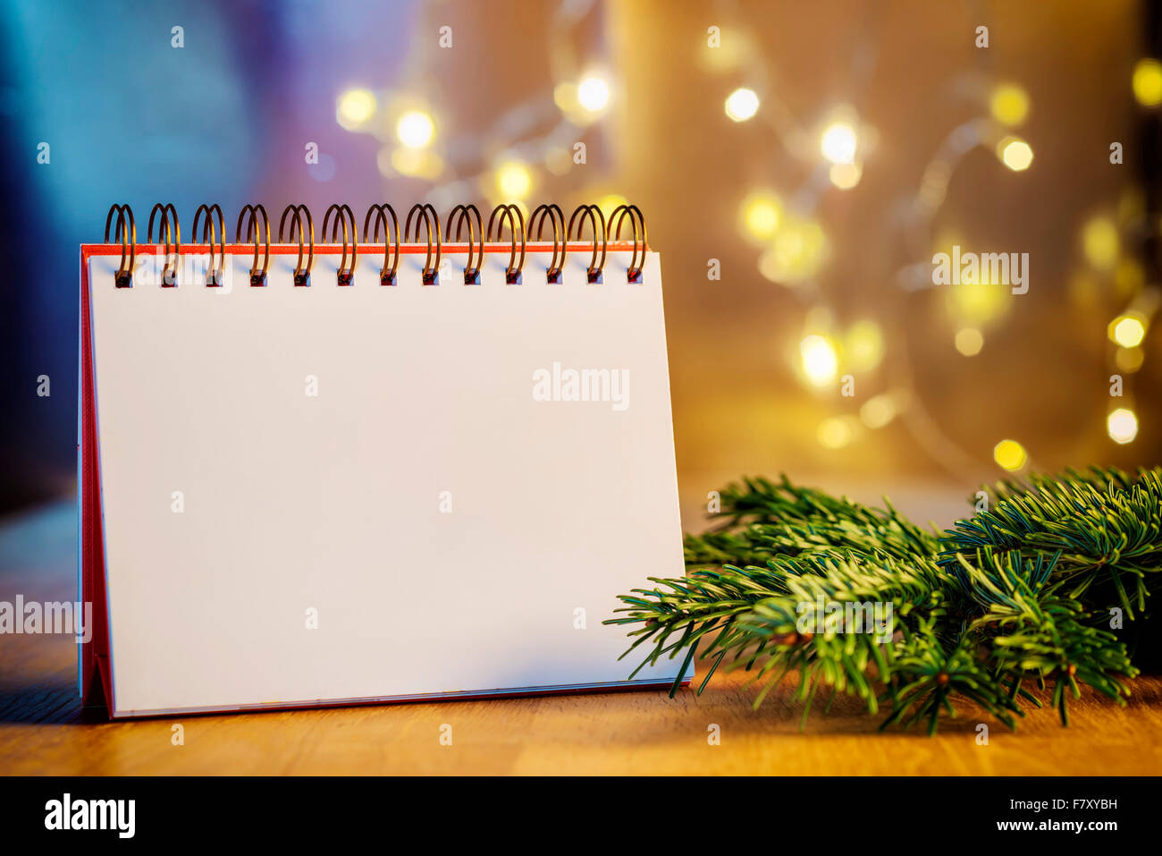 Image of empty ring binder with free space, branch and blur lights in background Stock Photo