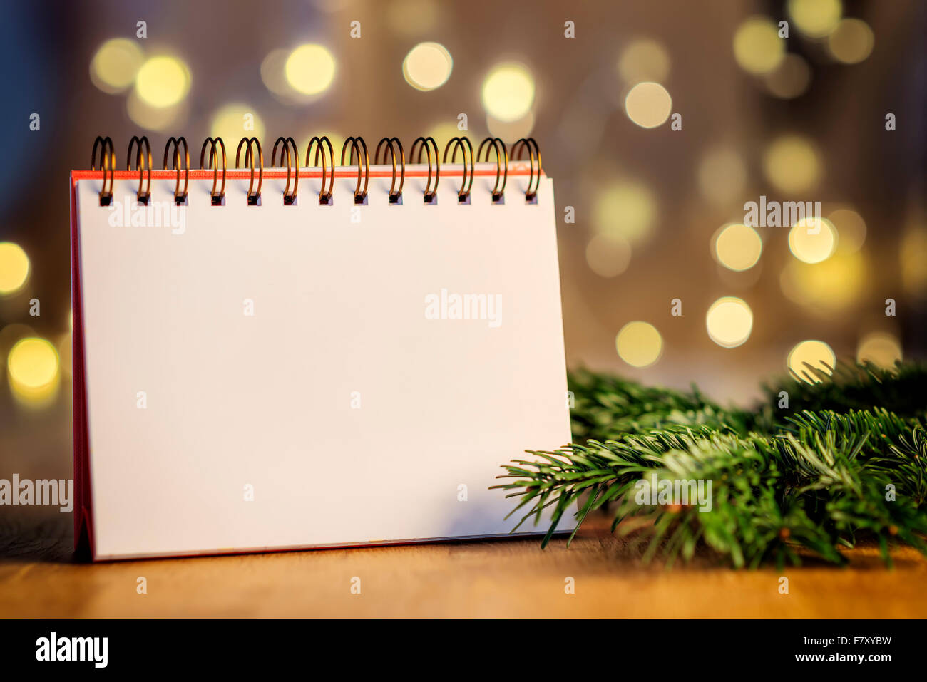 Image of empty ring binder with free space, branch and blur lights in background Stock Photo