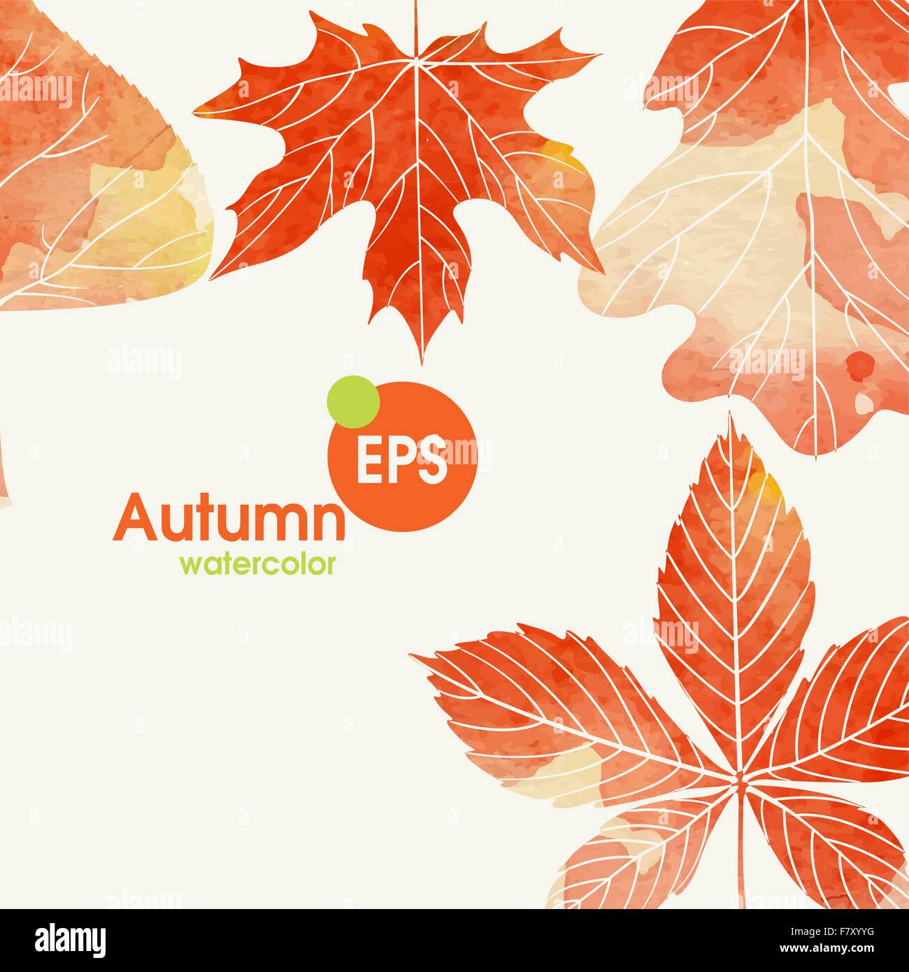 Autumn Background With Leaves Stock Vector Image & Art - Alamy