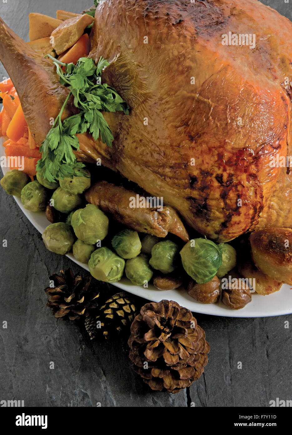 Christmas food – roast turkey with festive vegetables Stock Photo