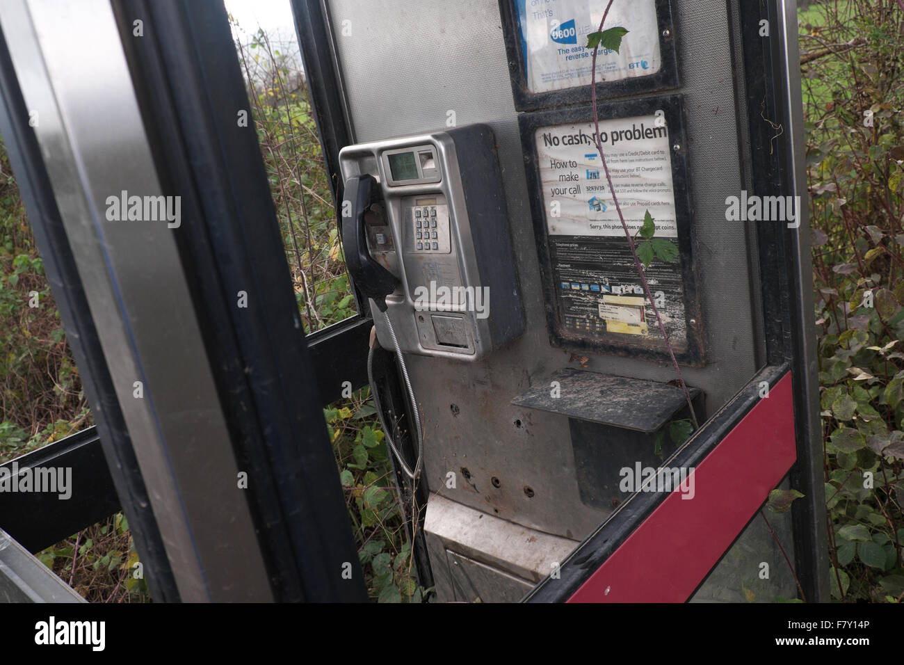 Rural BT telephone phonebox with no glass and overgrown with brambles Herefordshire UK Stock Photo