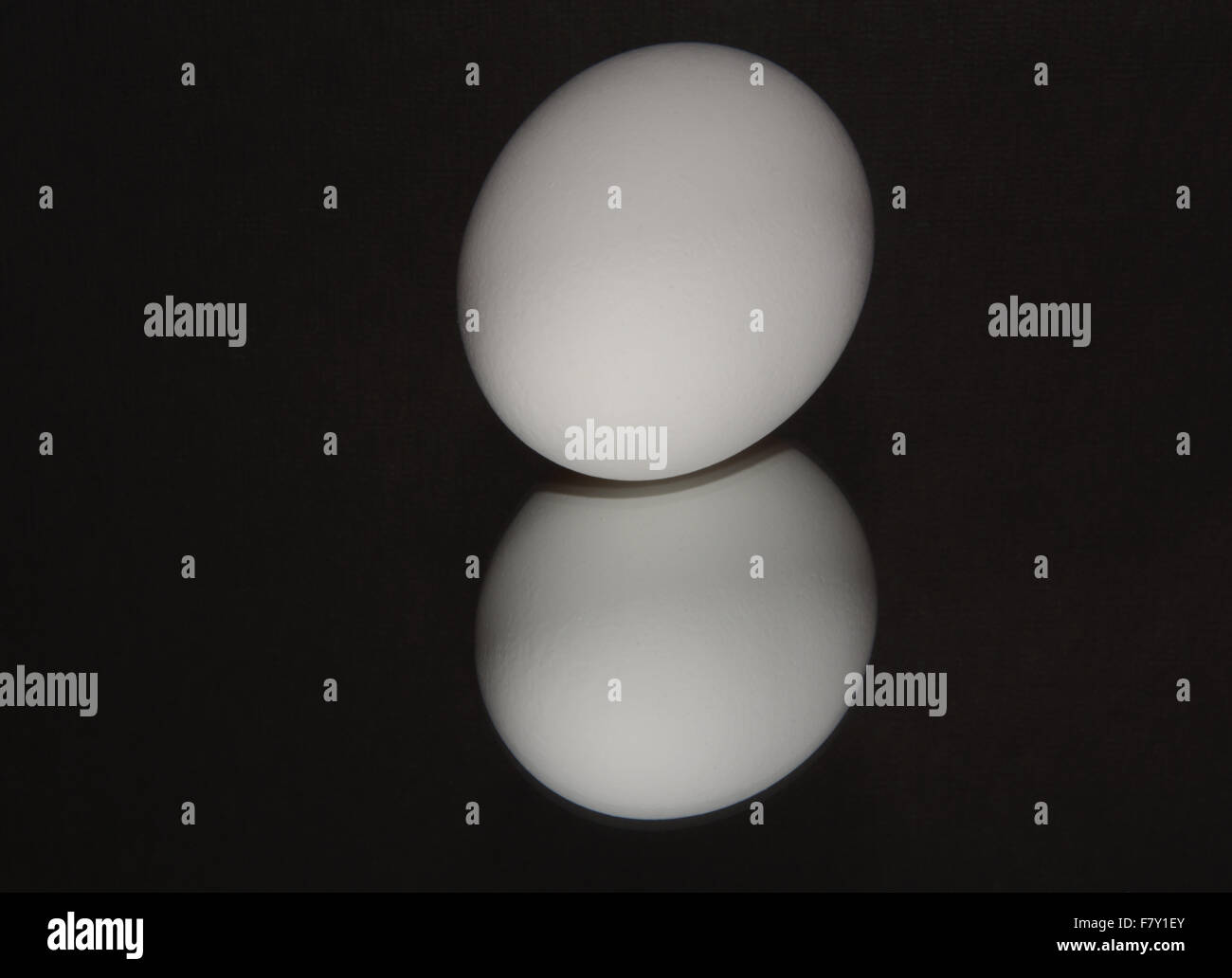 One chicken egg and reflection on black background Stock Photo - Alamy