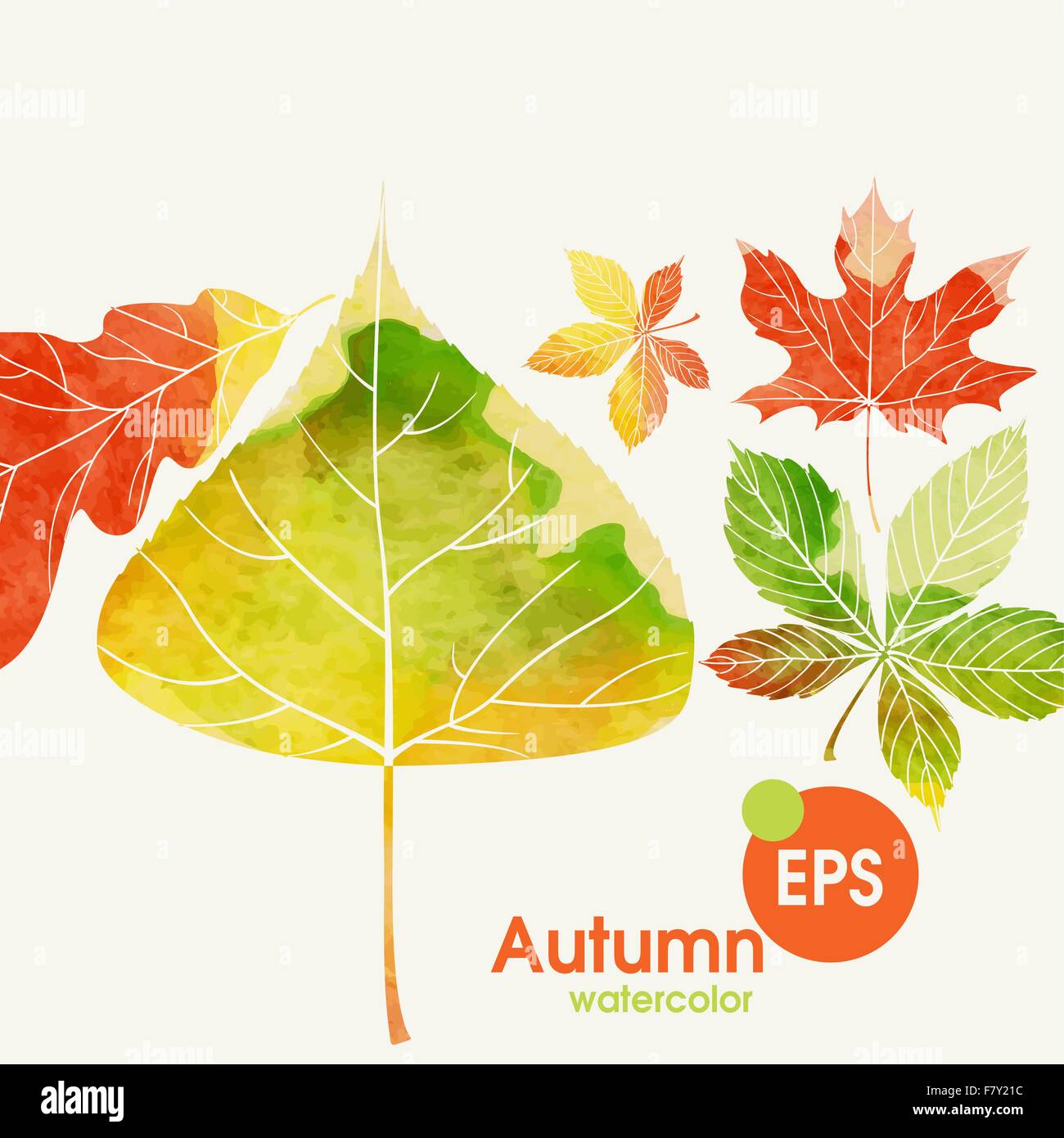Autumn Background With Leaves Stock Vector Image & Art - Alamy