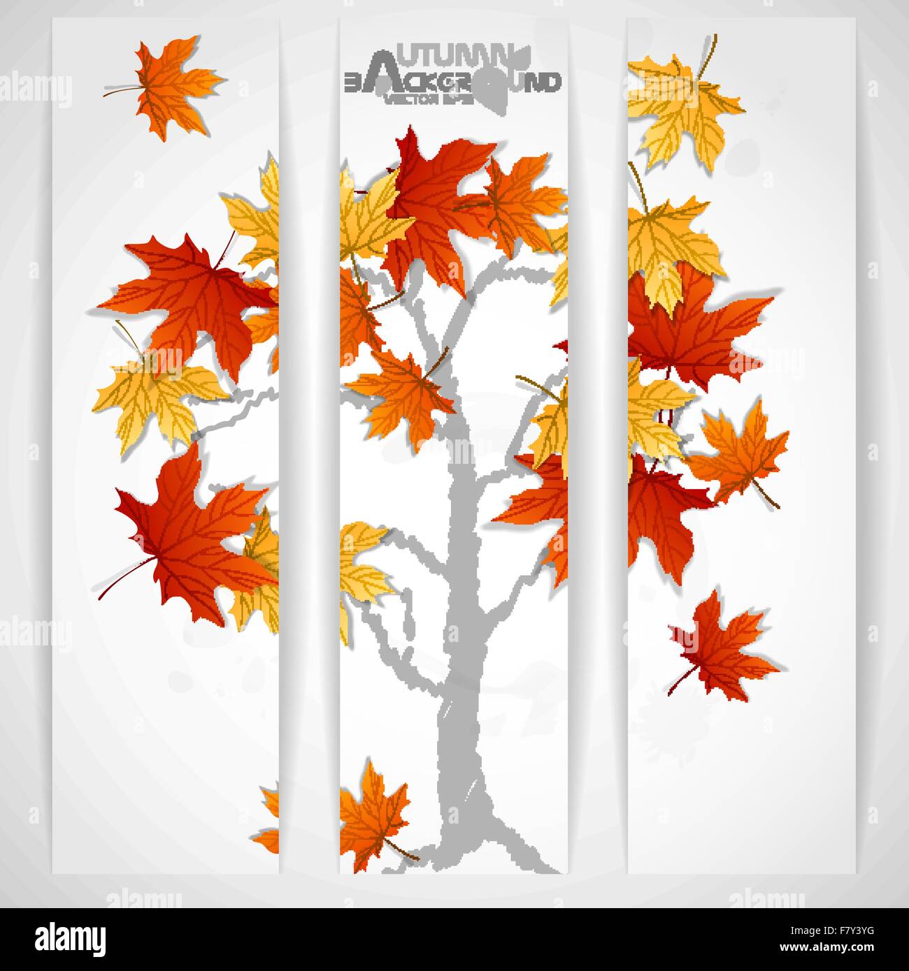 Autumn Leaves Background Stock Vector Image & Art - Alamy