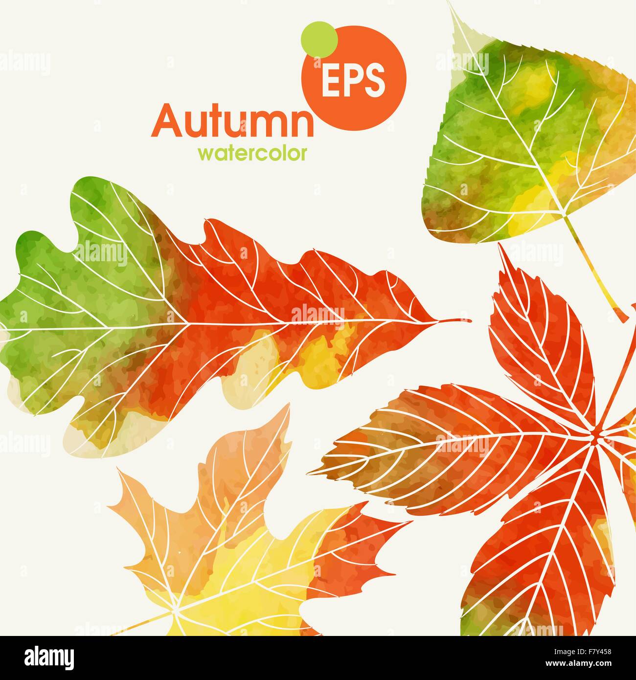 Autumn Background With Leaves Stock Vector Image & Art - Alamy