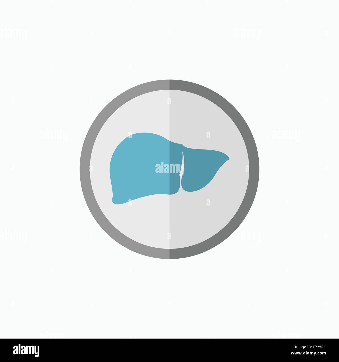 Illustration of liver Stock Vector Images - Alamy