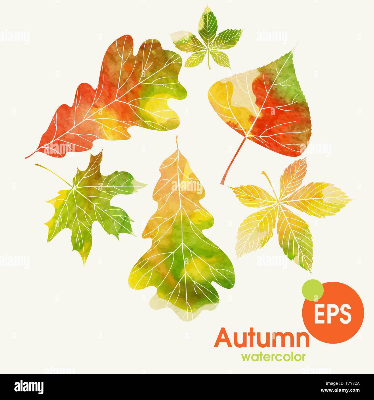 Autumn Background With Leaves Stock Vector Image & Art - Alamy