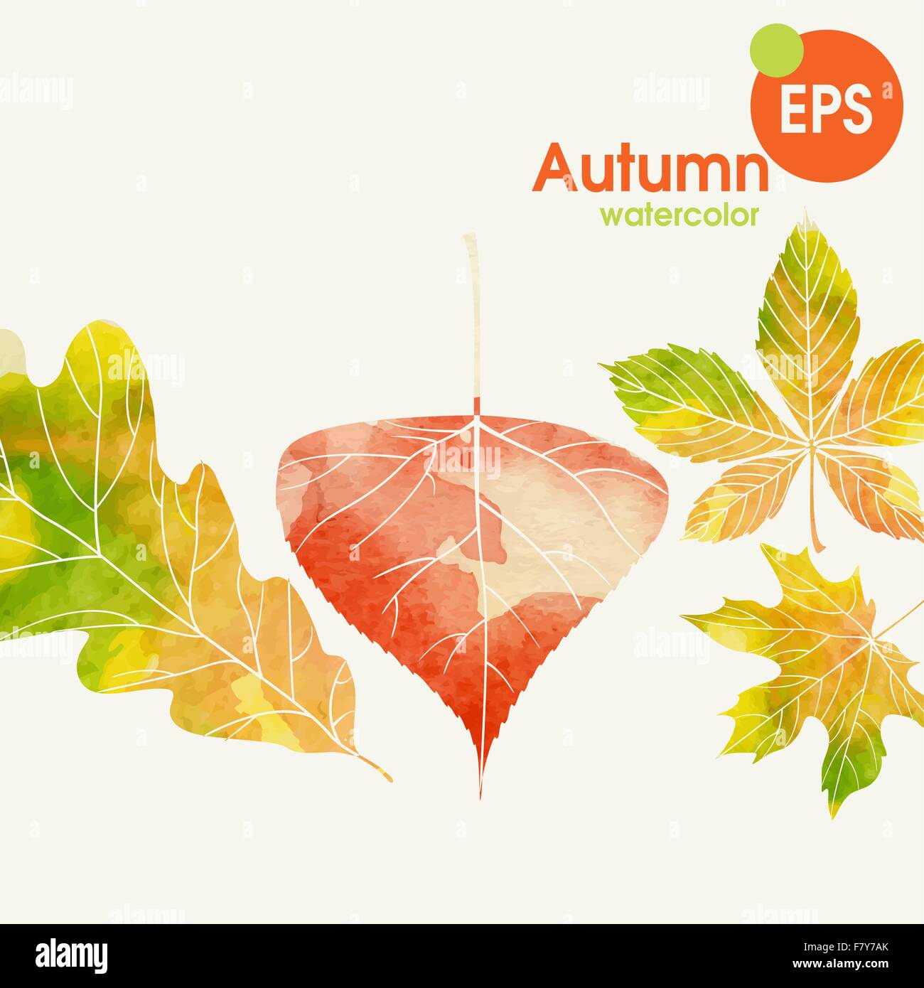 Autumn Background With Leaves Stock Vector Image & Art - Alamy