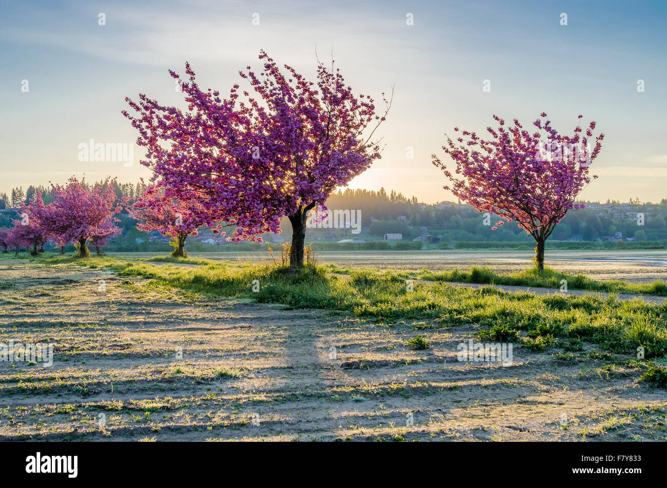 Courtenay vancouver island hires stock photography and images Alamy