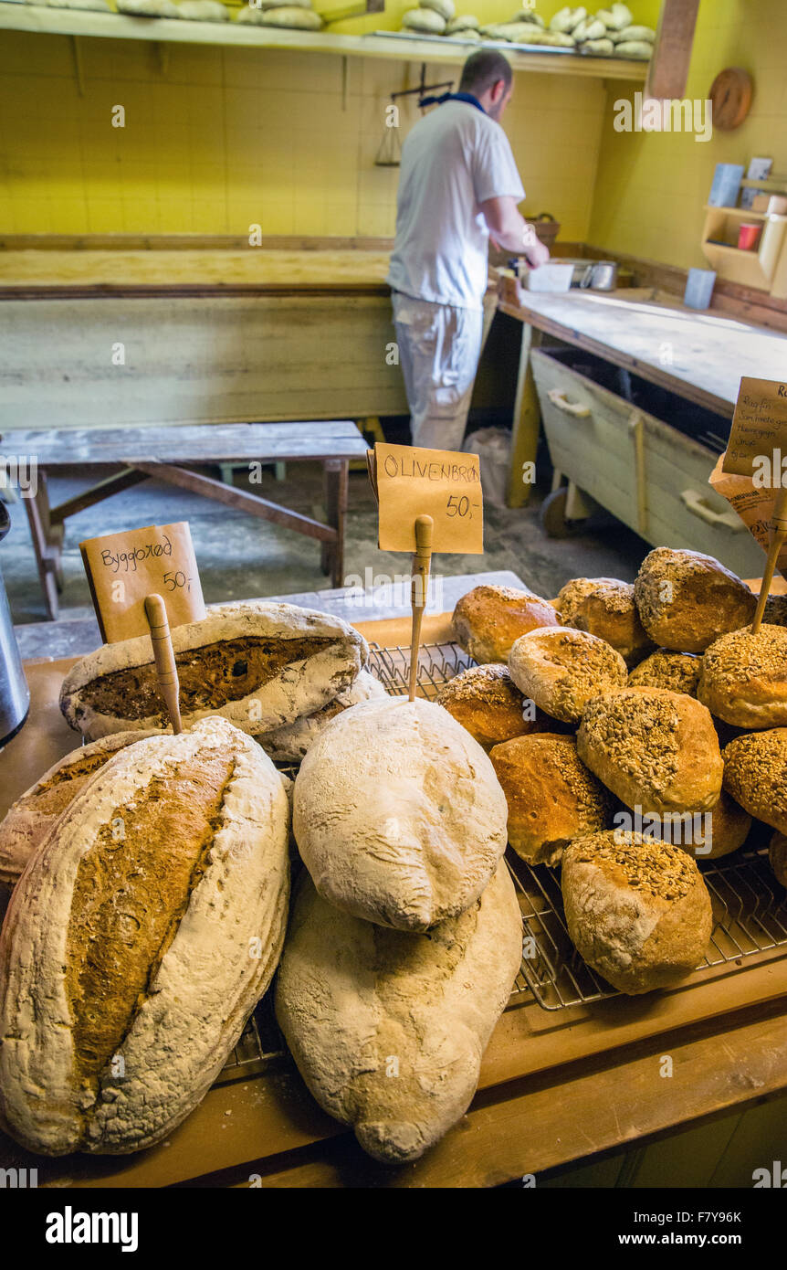 Baker at work making bread in the artisan bakery of ' A ' in the