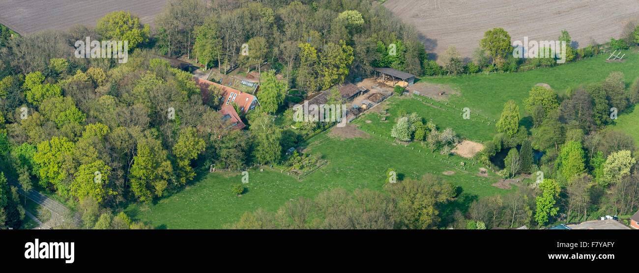 hof goettke-krogmann farm, lohne-kroge, vechta district, niedersachsen, germany Stock Photo