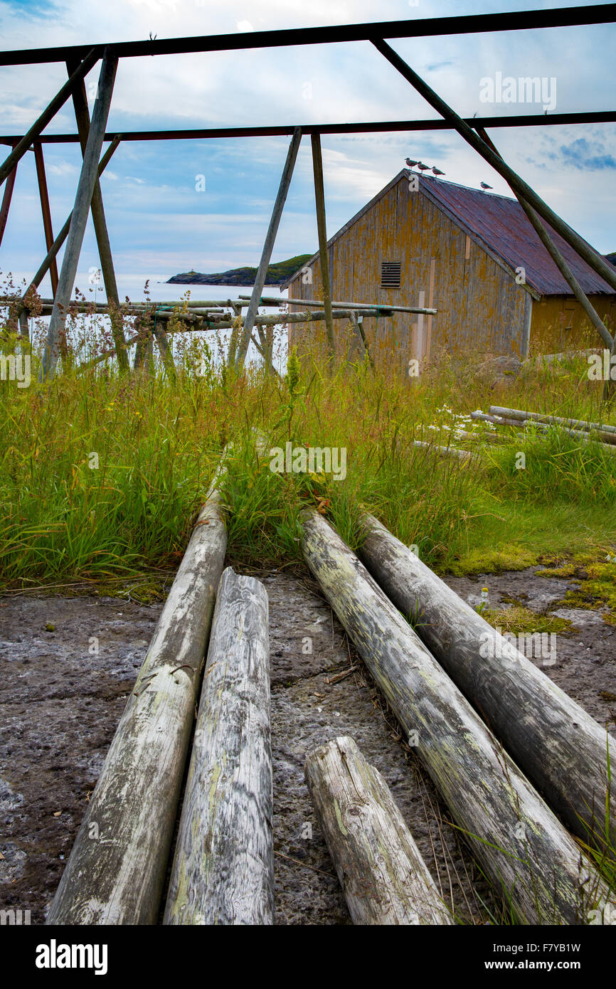 Cod drying racks in the village of Nusfjord in the western Lofoten Islands - once a major centre of Norway's cod fishng industry Stock Photo