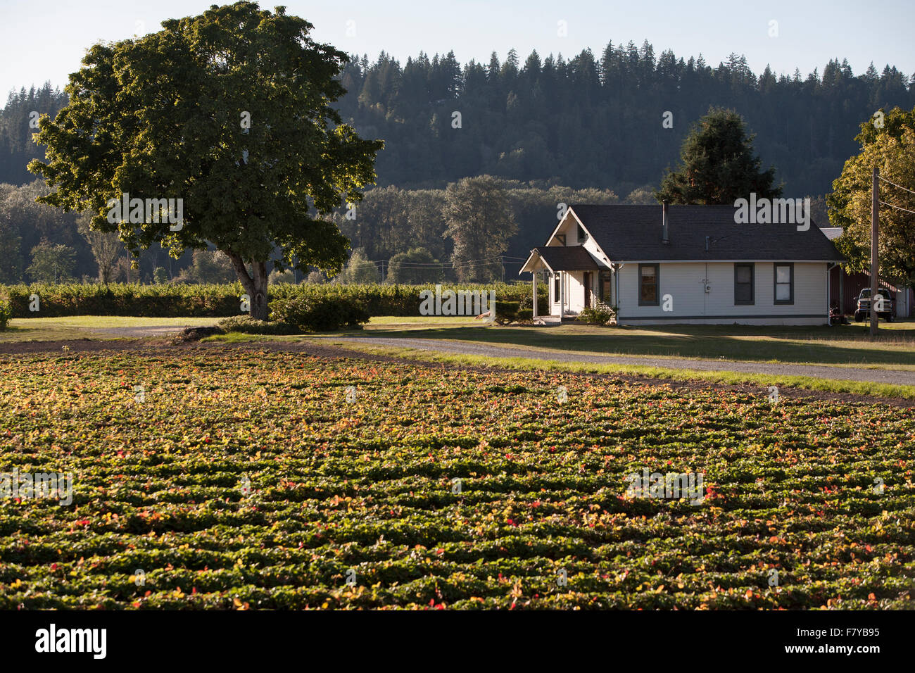 Snoqualmie Valley Washington United States Stock Photo Alamy