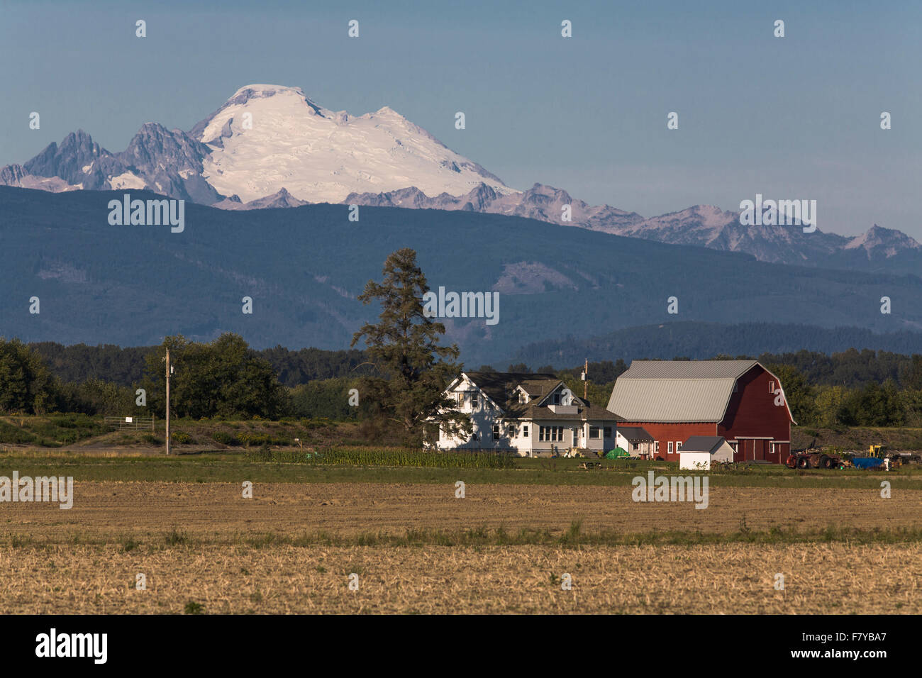 Mt Baker with a farmhouse and barn in the foreground. Stock Photo