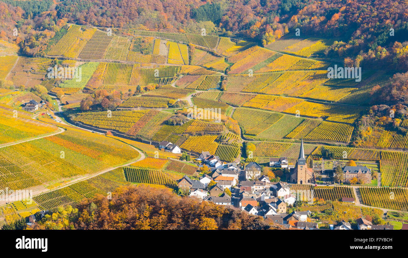 Vineyards in autumn, Mayschoß, Ahr valley wine region, Eifel, Rhineland-Palatinate, Germany Stock Photo