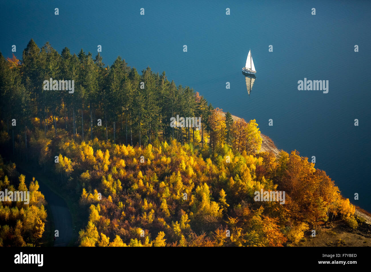 Biggest lake, shore of the lake with autumnal deciduous forest and a sail boat, Attendorn, Sauerland, North Rhine-Westphalia Stock Photo