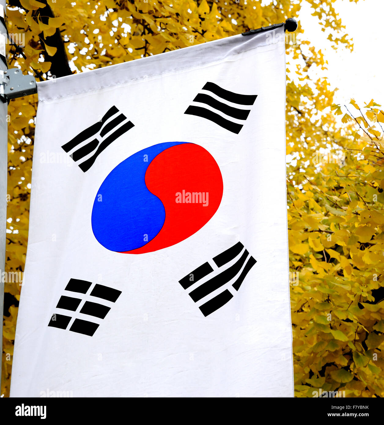 The national flag of South Korea. It has three parts: a white background, a red and blue Taeguk, which is a red and blue Taiji y Stock Photo