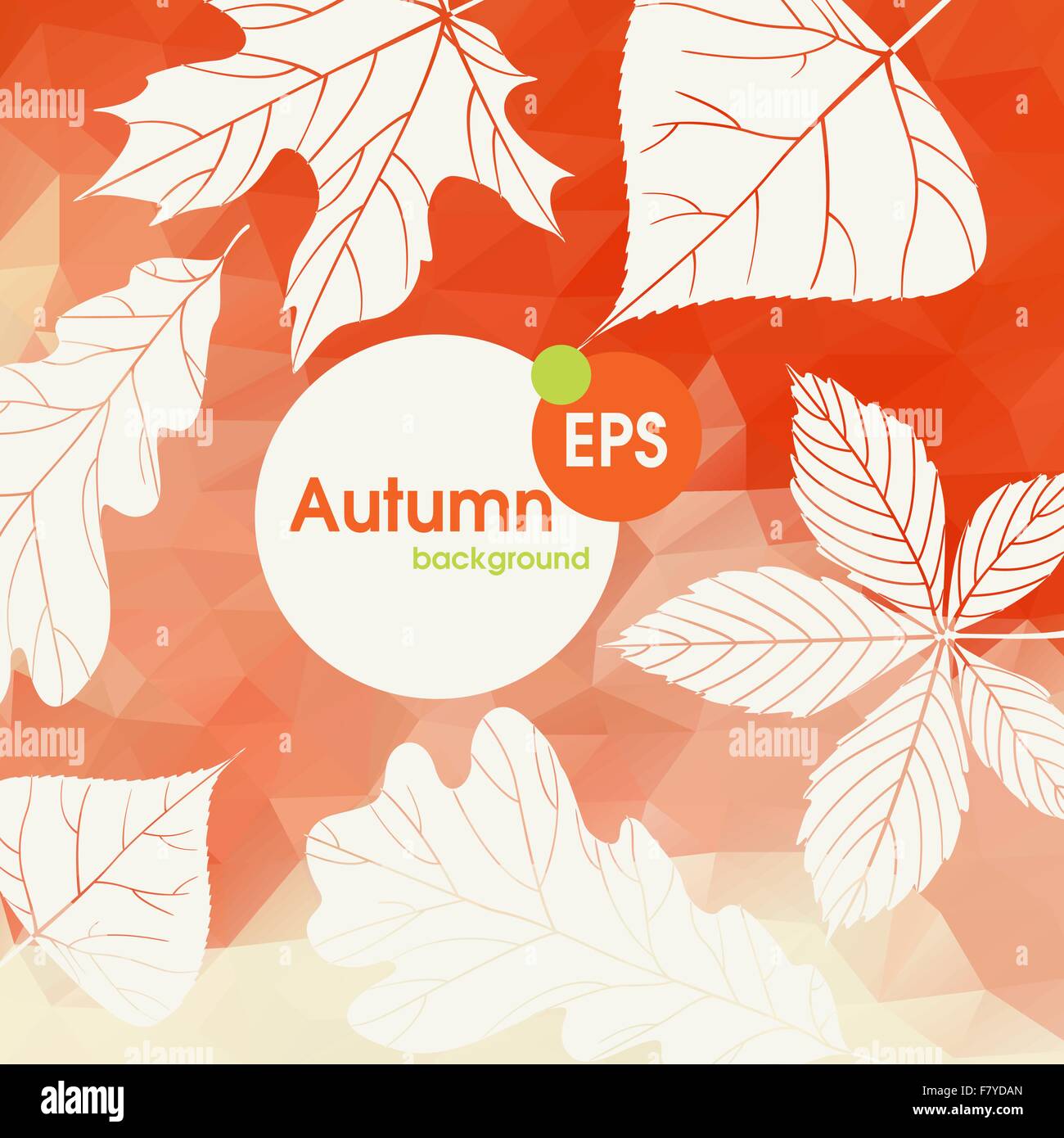Autumn Background With Leaves Stock Vector Image & Art - Alamy