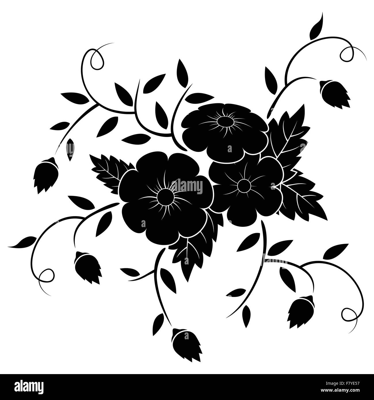 Flower all summer Black and White Stock Photos & Images - Alamy