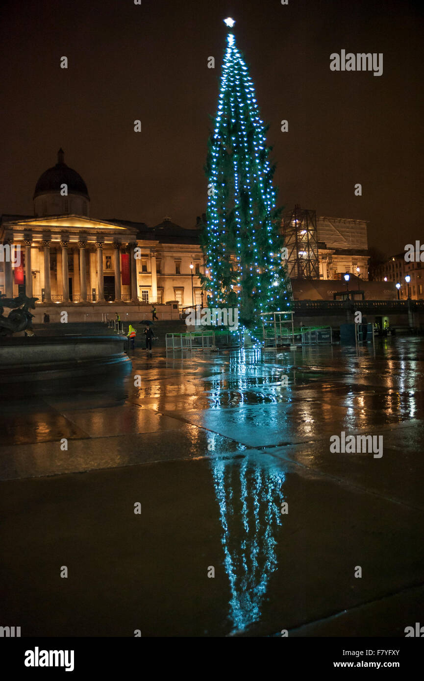 London, UK. 3 December 2015. The newly lit Christmas tree in Trafalgar