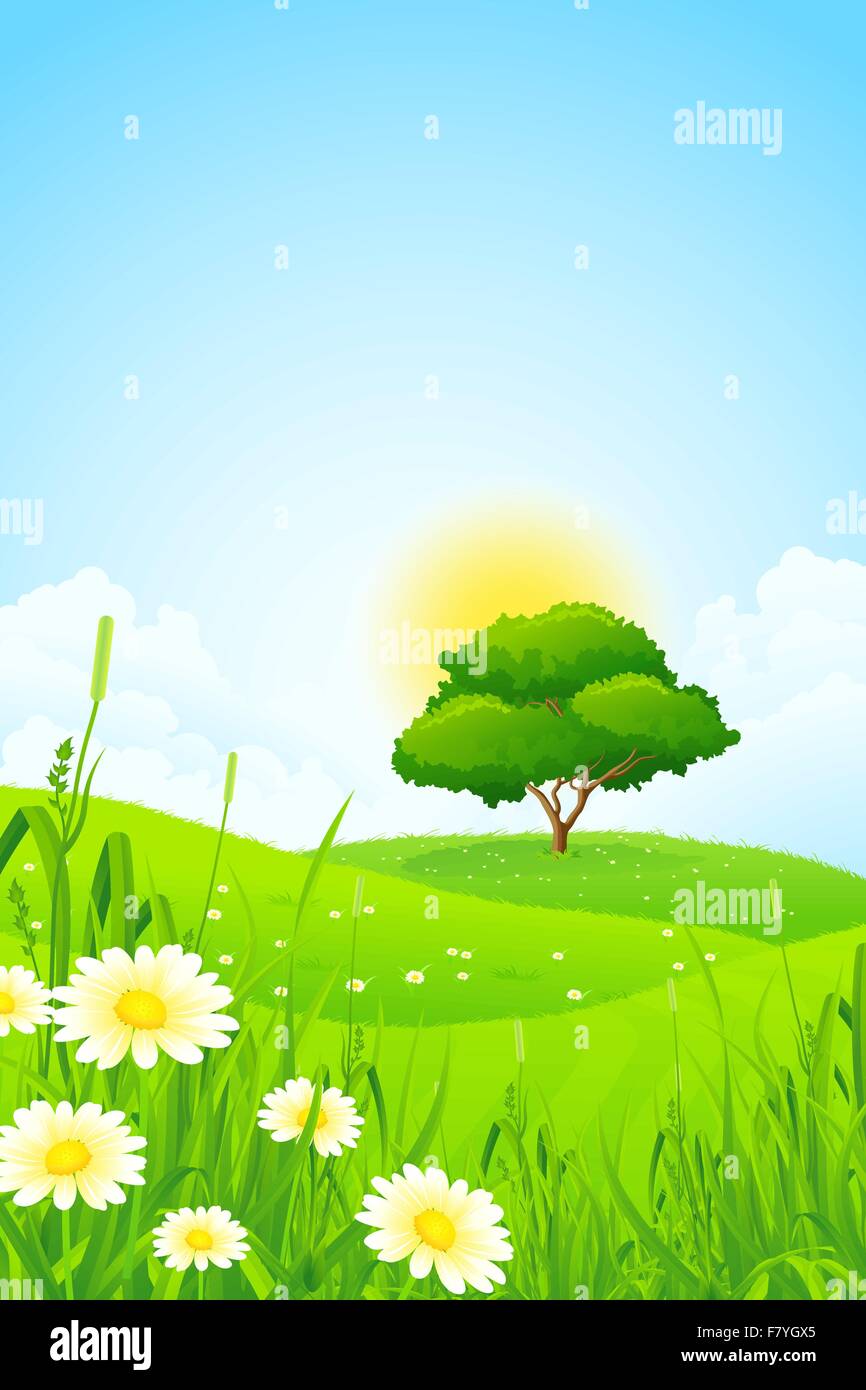 Green Landscape with Tree Stock Vector Image & Art - Alamy