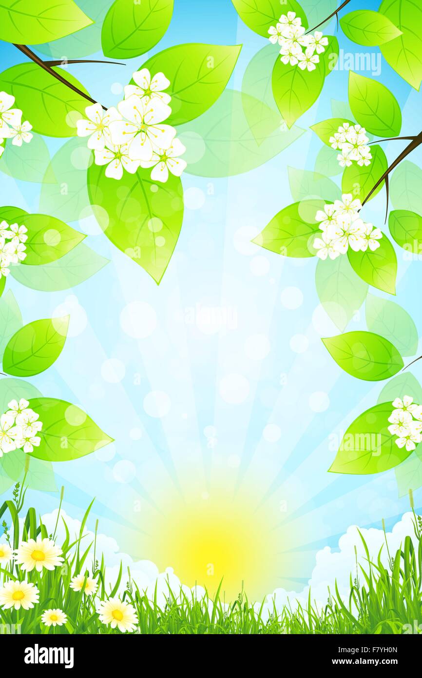 Green Landscape with Grass Stock Vector Image & Art - Alamy