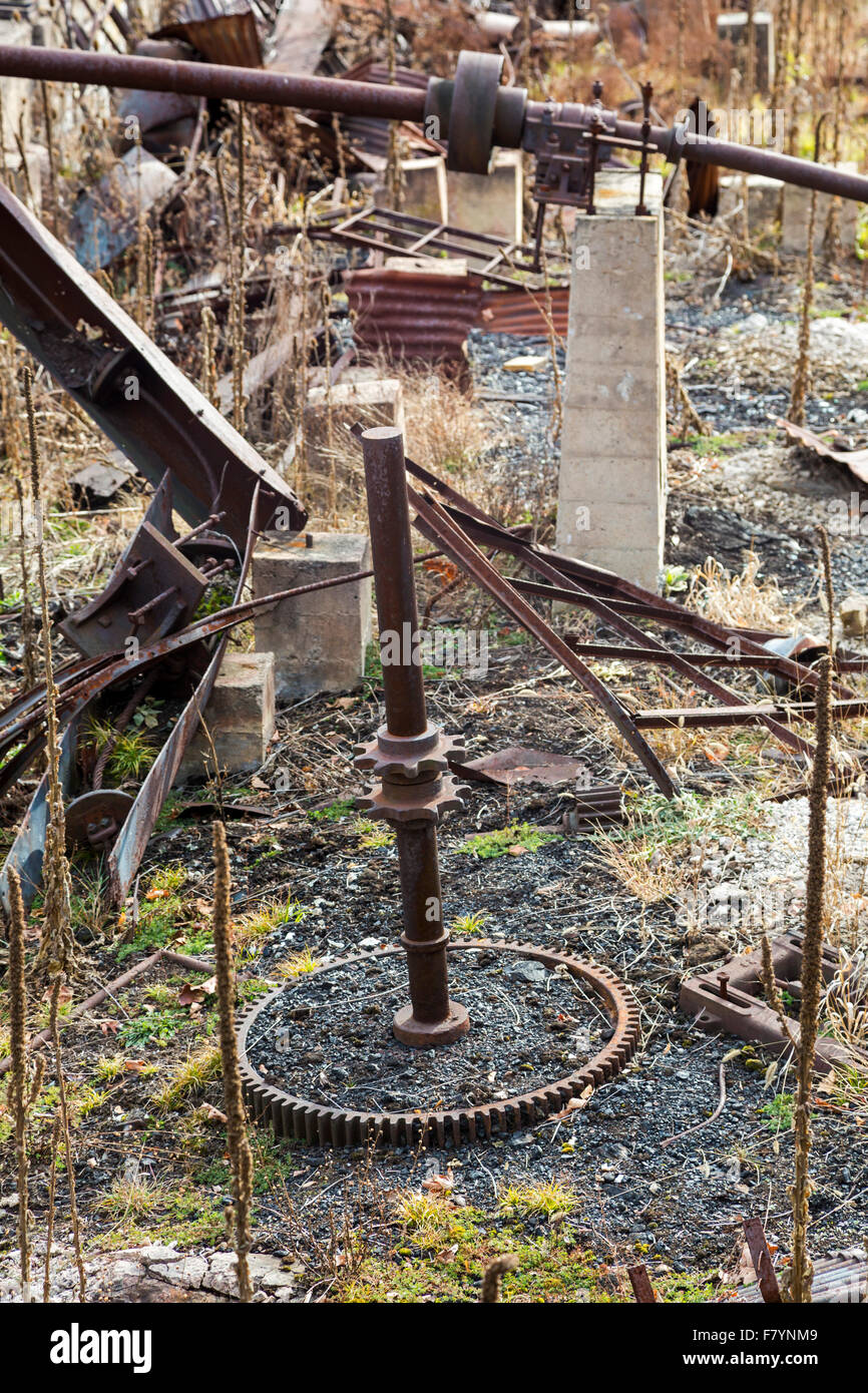 Cass, West Virginia The ruins of the West Virginia Pulp and Paper