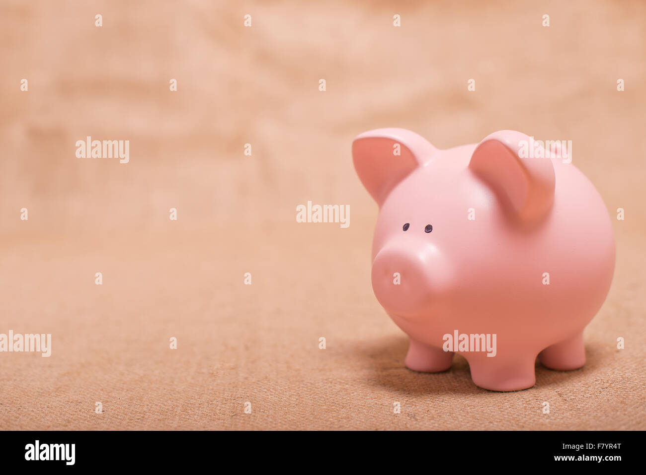 plain piggy bank