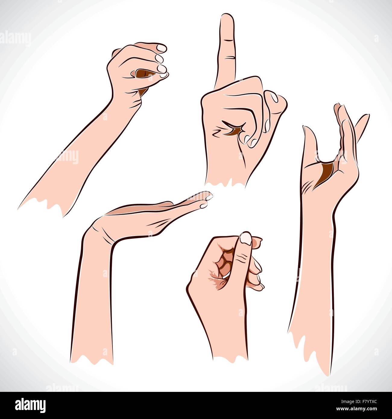 hand show different position and sign stock vector Stock Vector