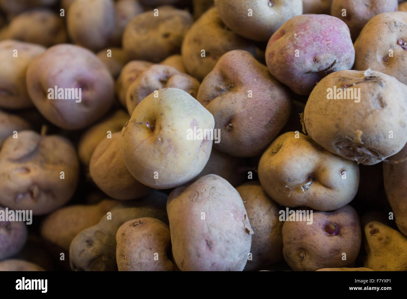 red wrinkled potatoes - raw canarian wrinkly potatoes - papas arrugadas Stock Photo