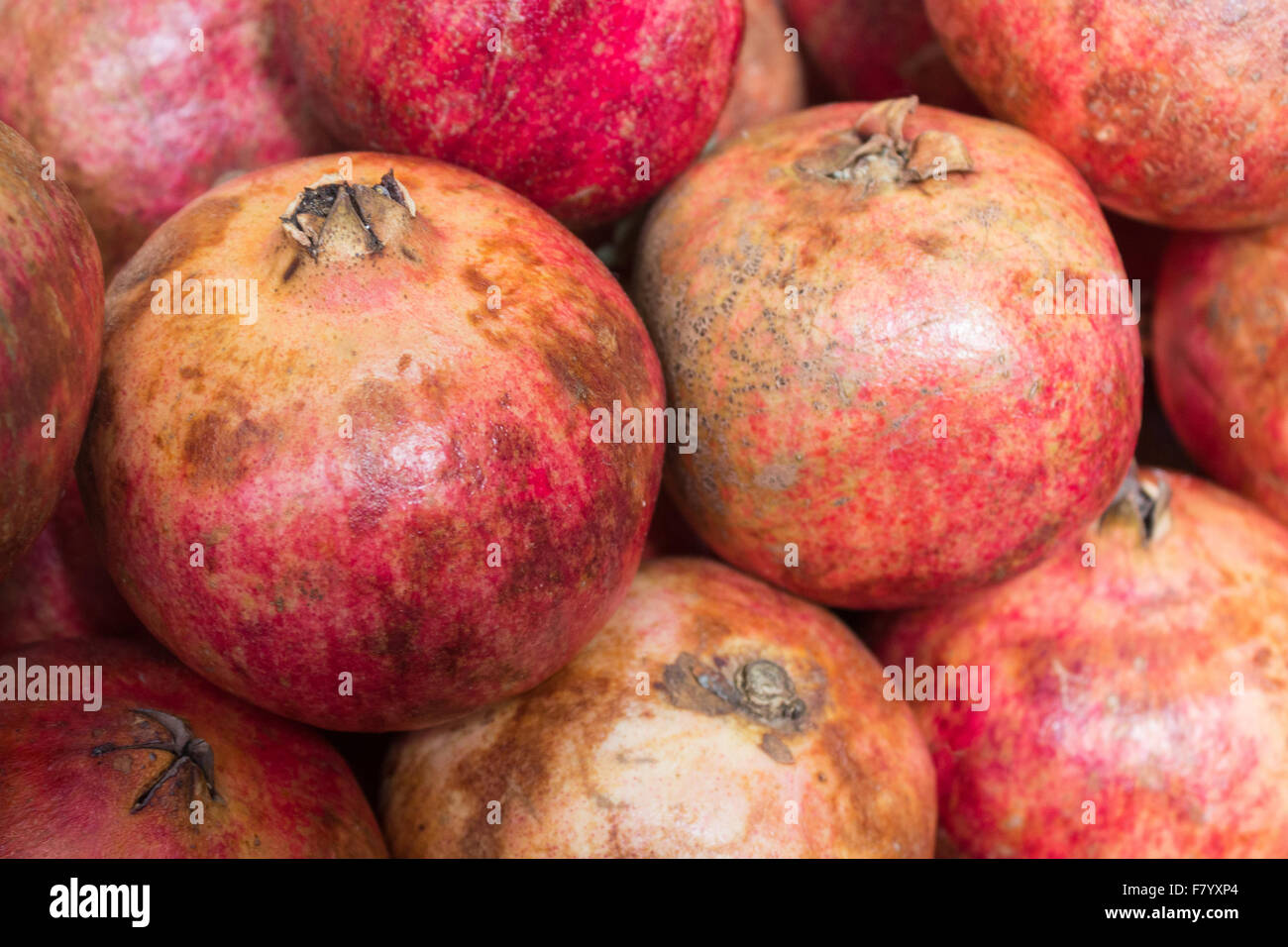 many pomegranates background - grenadine fruit background Stock Photo