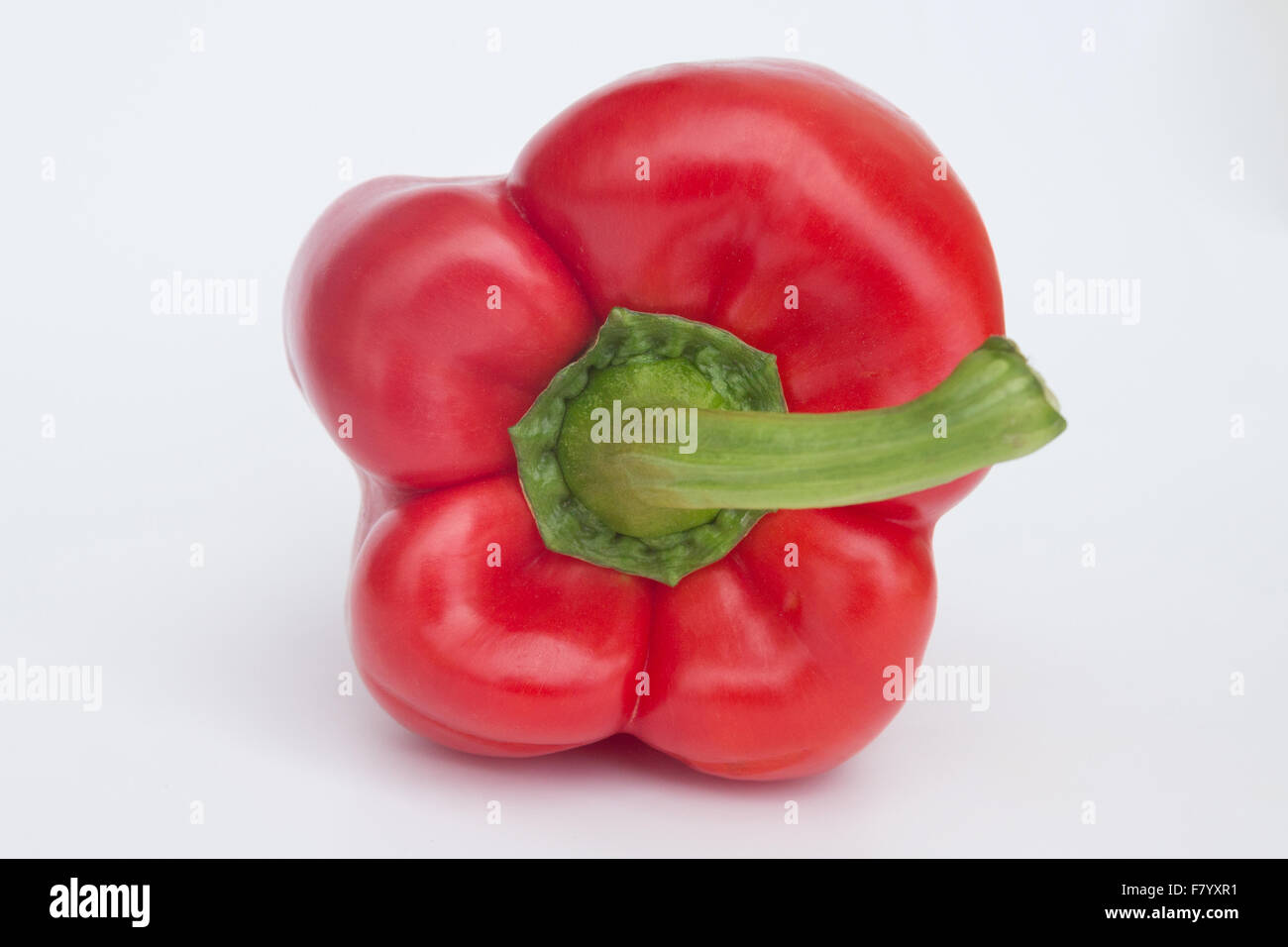 Bell Pepper isolated, red paprika / sweet pepper Stock Photo