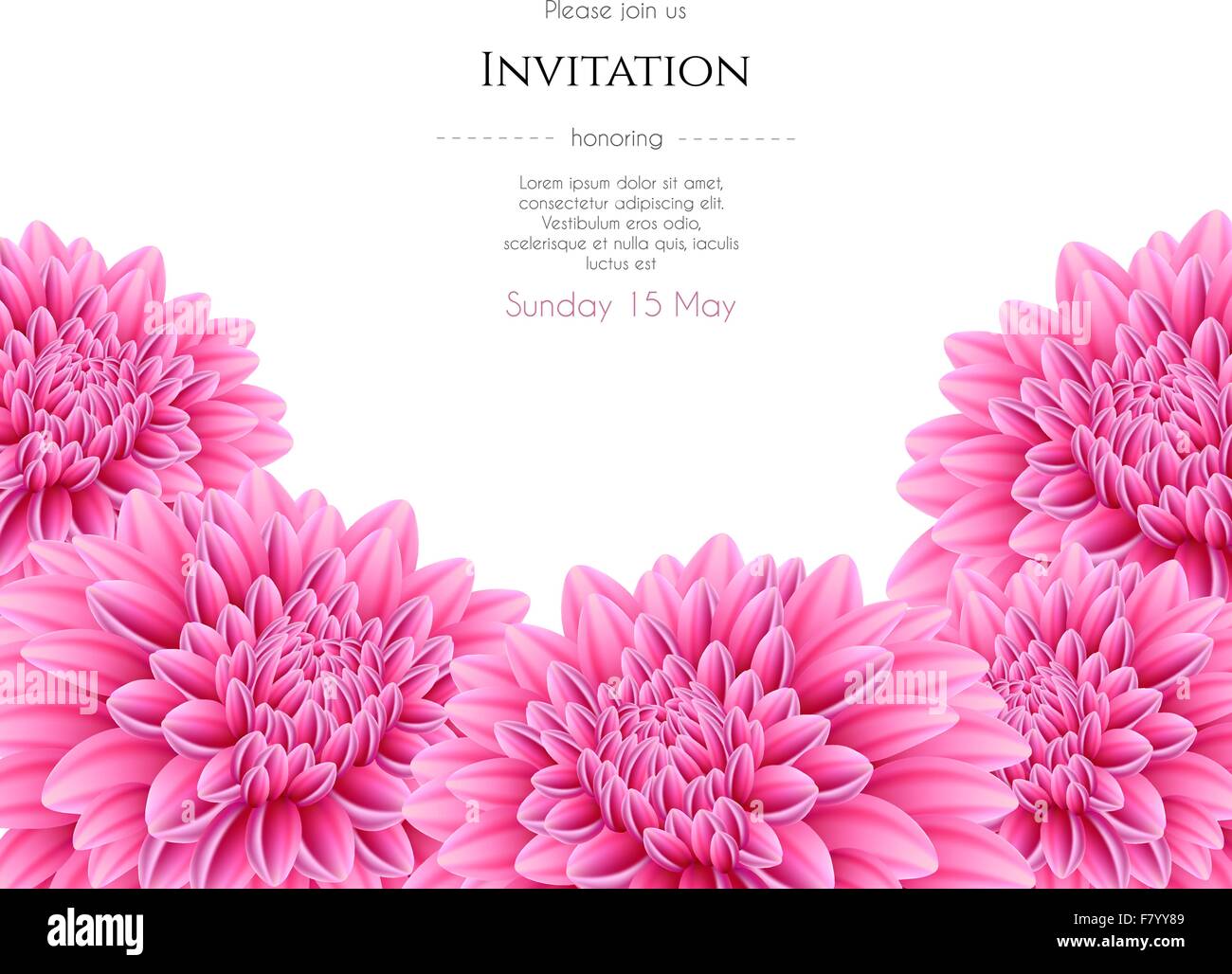 Blooming beautiful aster flower Stock Vector Image & Art - Alamy