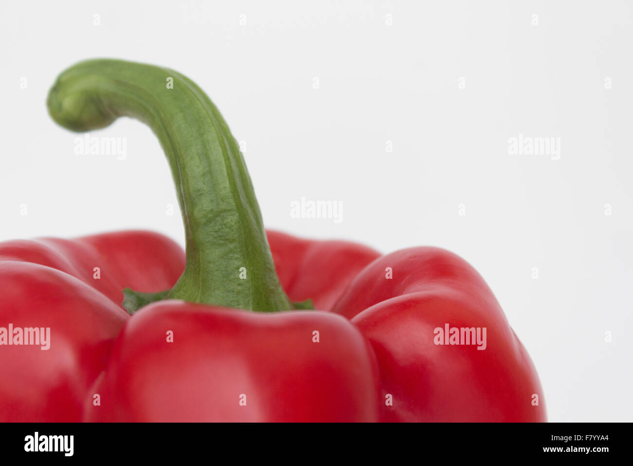 red bell Pepper closeup, paprika  / capsicum  / sweet pepper Stock Photo