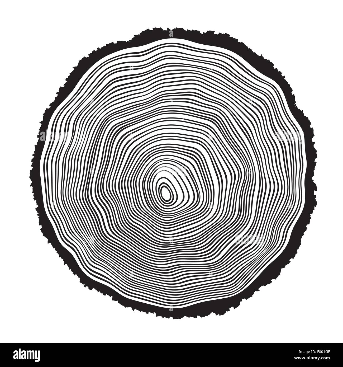 Tree ring illustration hi res stock photography and images Alamy