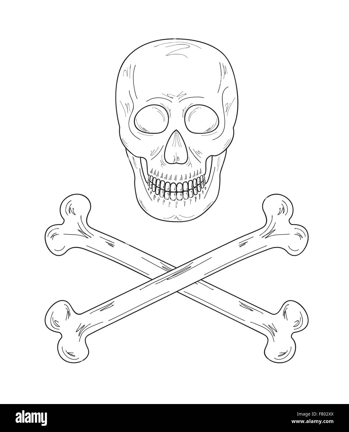 sketch of the skull and bones Stock Vector Image & Art Alamy