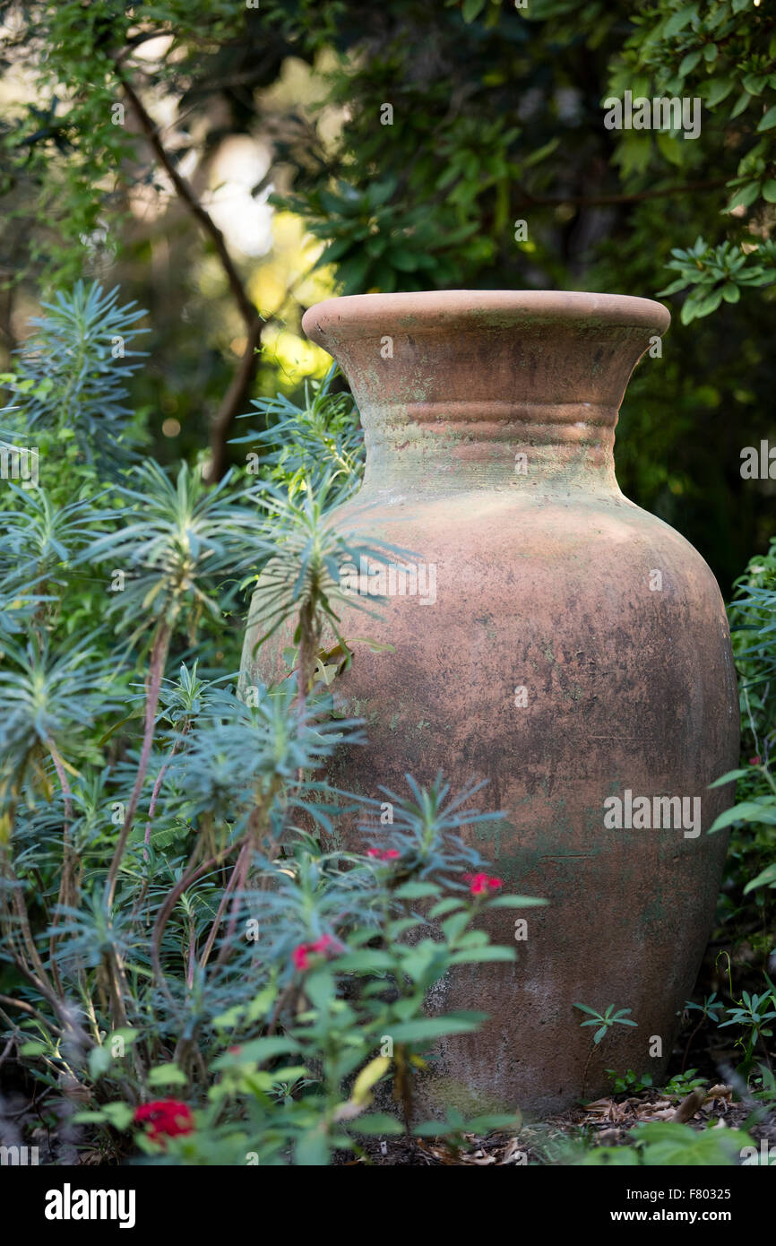 Vintage clay pot in lovely green setting at the San Diego Botanical