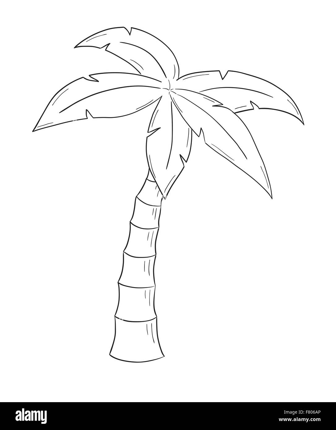 Cartoon palm tree Black and White Stock Photos & Images - Alamy