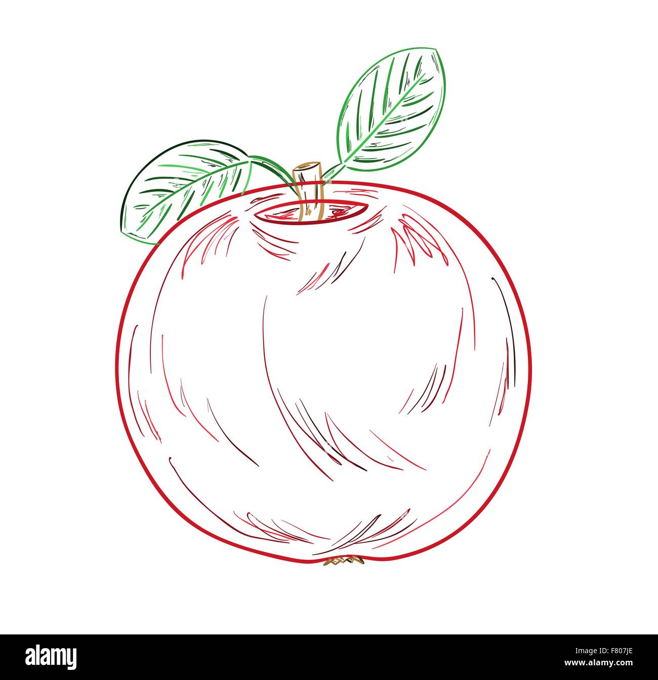 apple sketch Stock Vector