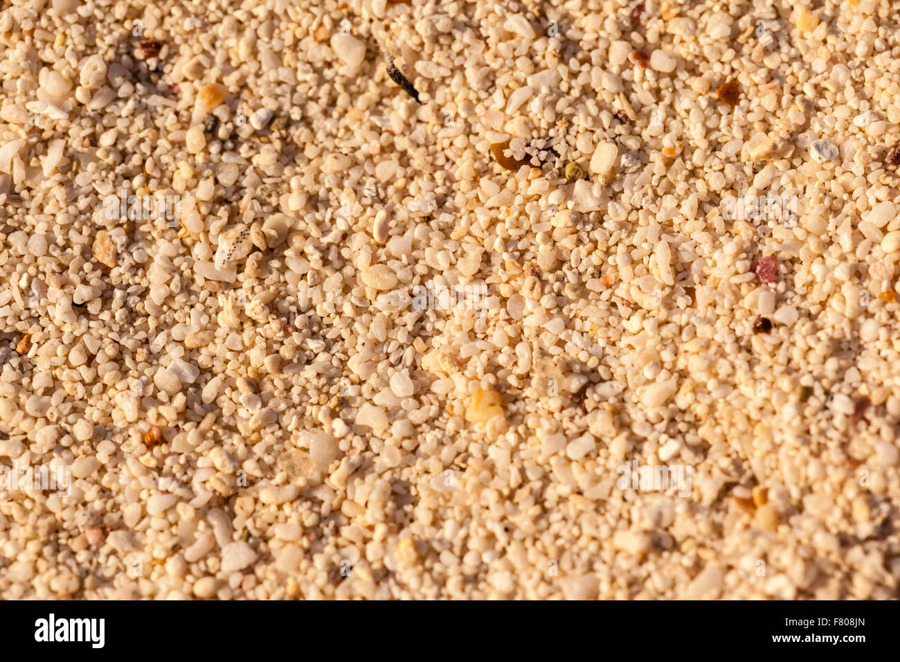 macro shot of the sand on a tropical beach in thailand Stock Photo