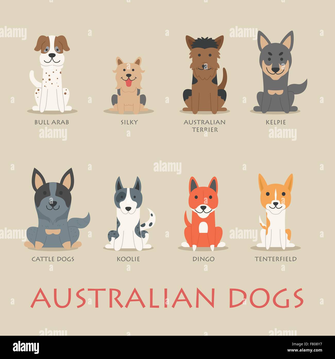 Set of australian dogs Stock Vector