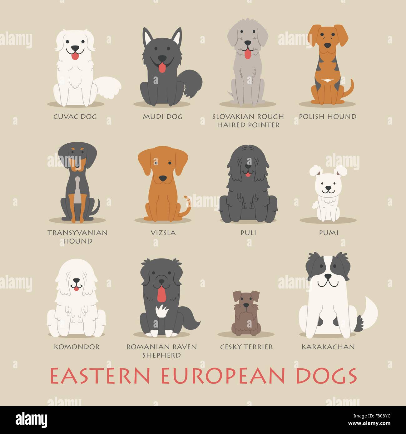 Set of eastern european dogs Stock Vector Image & Art Alamy