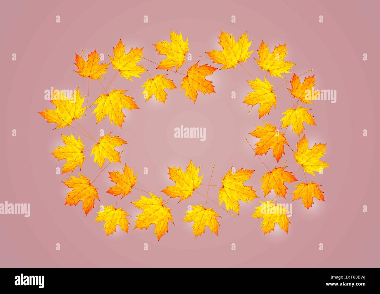 autumn background with maple leaves Stock Vector Image & Art - Alamy