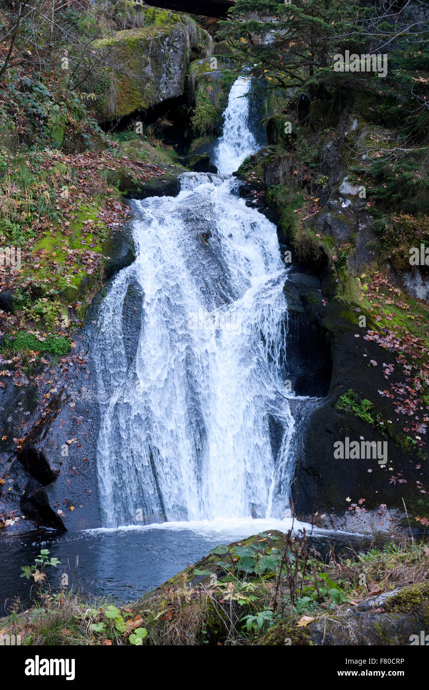 triberg waterfalls, triberg im schwarzwald, badenwürttemberg, germany Stock Photo Alamy