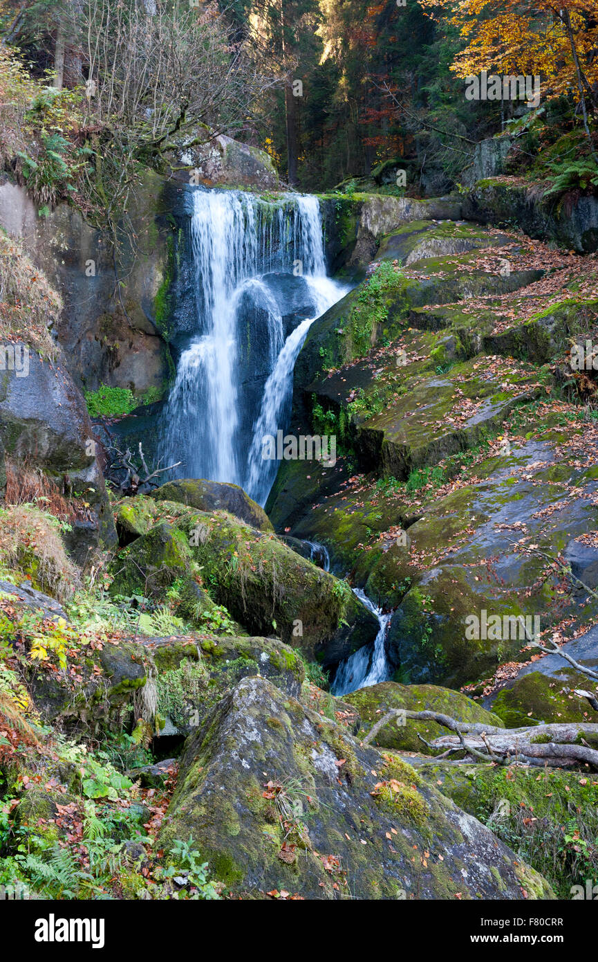 triberg waterfalls, triberg im schwarzwald, badenwürttemberg, germany Stock Photo Alamy