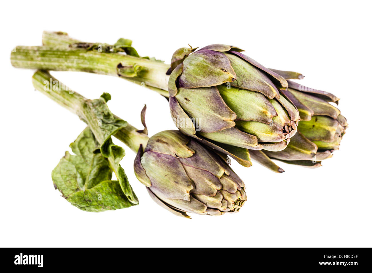 a fresh green artichoke isolated over a white background Stock Photo
