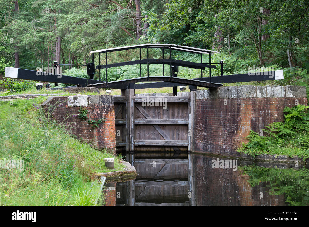 Canal lock gate on the Basingstoke canal near Deepcut , Surrey, England