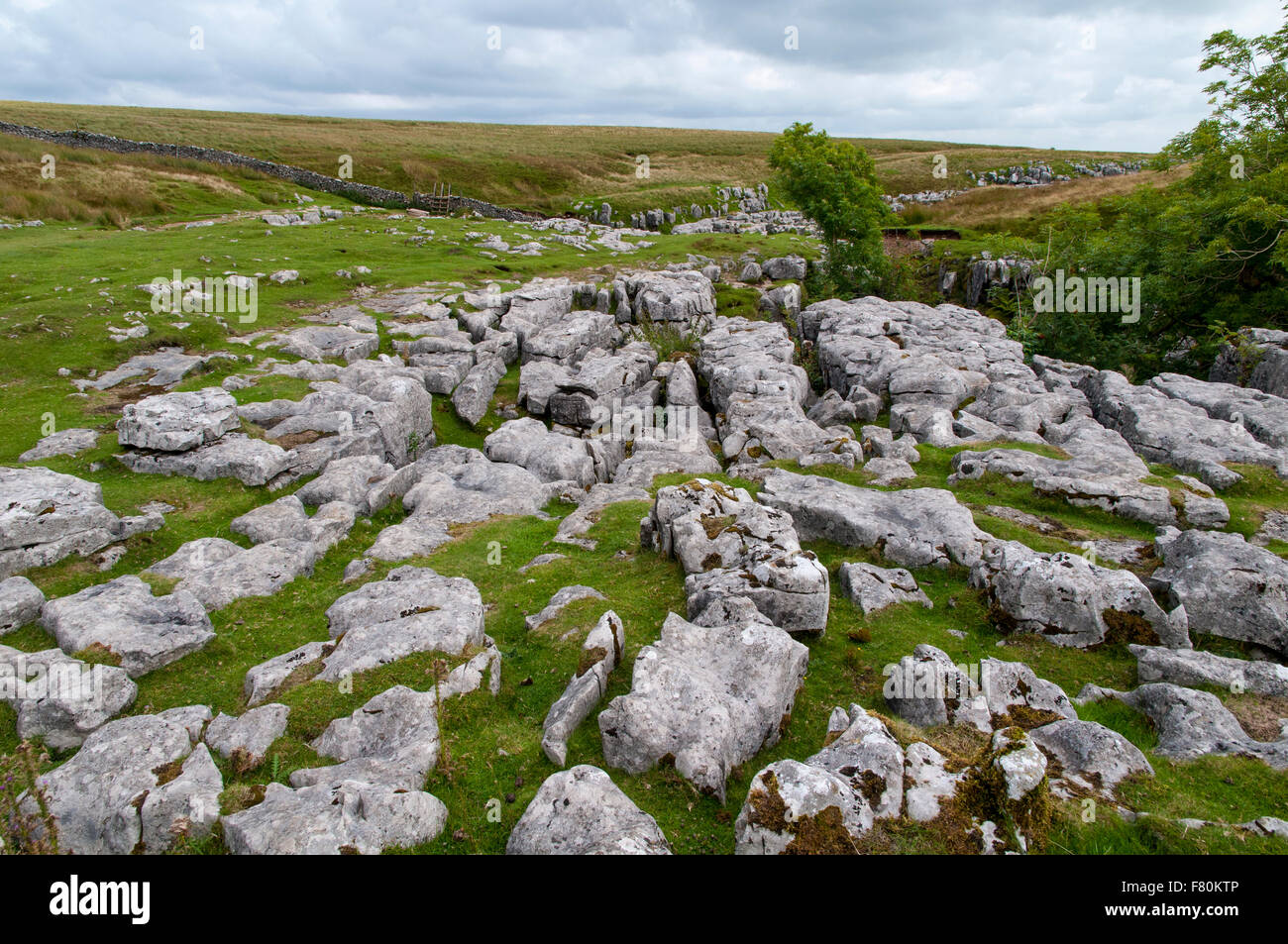 Outcrops of limestone showing typical erosion patterns of grikes and